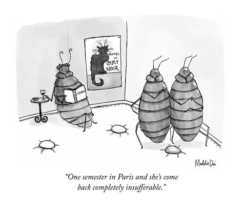 "One semester in Paris and she's come back completely insufferable."