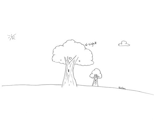 Lonely Tree