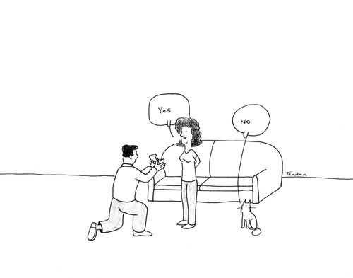 "Yes"  "No"