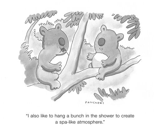 "I also like to hang a bunch in the shower to create a spa-like atmosphere."
