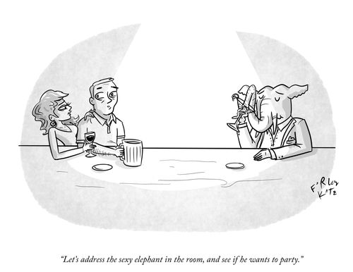 "Let's address the sexy elephant in the room, and see if he wants to party."
