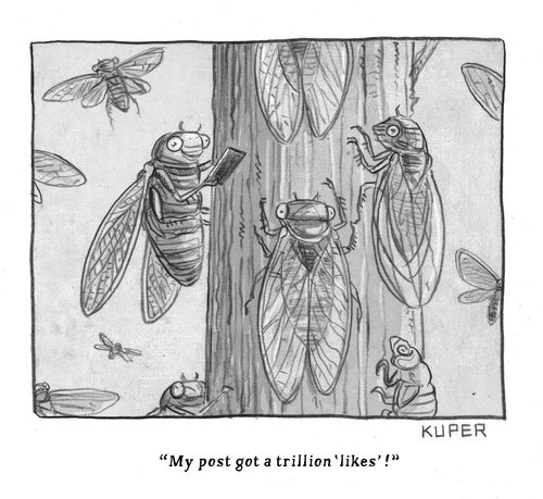 "My post got a trillion 'likes'!"