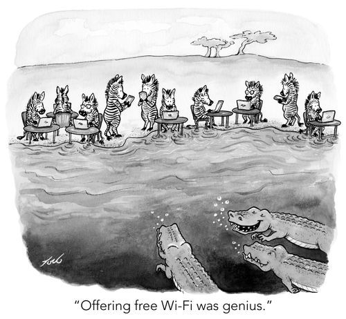 "Offering free Wi-Fi was genius."
