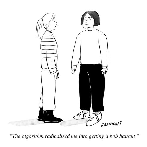 “The algorithm radicalised me into getting a bob haircut.”