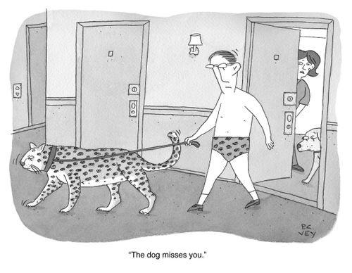 "The dog misses you."