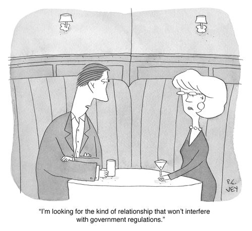 "I'm looking for the kind of relationship that won't interfere with government regulations."