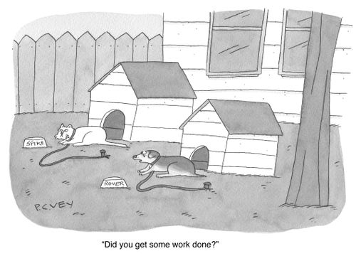 "Did you get some work done?"