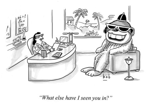 "What else have I seen you in?"