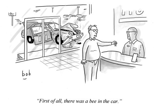 "First of all, there was a bee in the car."