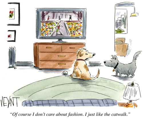 "Of course I don't care about fashion. I just like the catwalk."