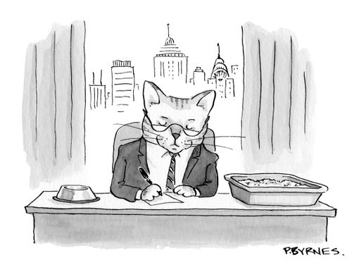 Cat Boss