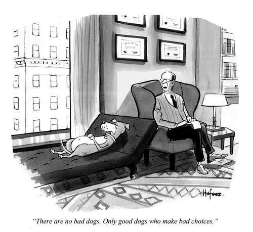 "There are no bad dogs. Only good dogs who make bad choices."
