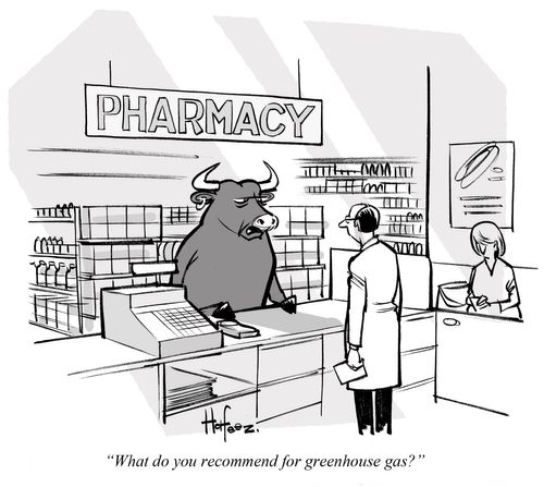 "What do you recommend for greenhouse gas?"