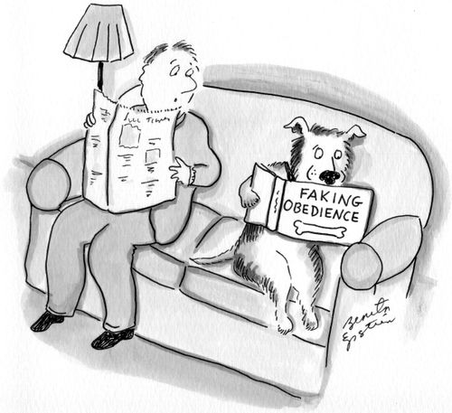 Faking obedience