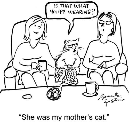 "She's my mother's cat."