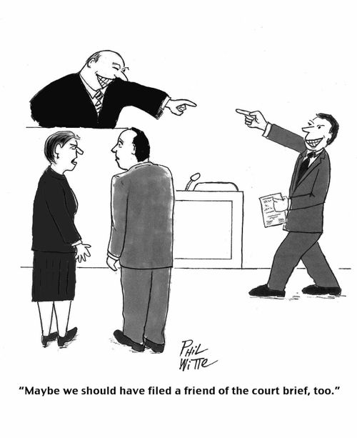 "Maybe we should have filed a friend of the court brief, too."