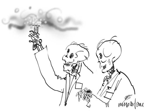 Skeleton scientists