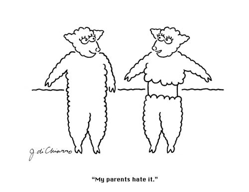 "My parents hate it."