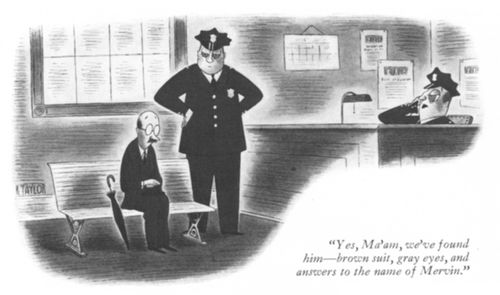 "Yes, Ma'am, we've found him – brown suit, grey eyes, and answers to the name of Mervin."