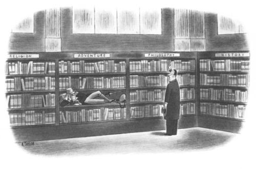 Bookshop Adventure