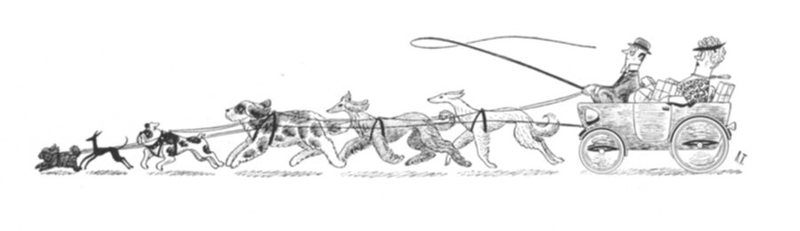 A cart pulled by increasingly small dogs