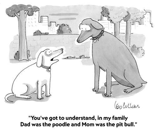"You've got to understand, in my family Dad was the poodle and Mom was the pit bull."