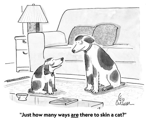 "Just how many ways are there to skin a cat?"