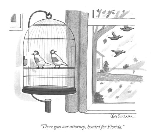 "There goes our attorney, headed for Florida."