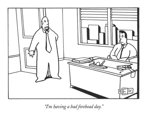 "I'm having a bad forehead day."