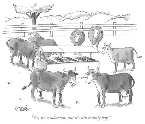 "Yes it's a salad bar, but it's still mainly hay."