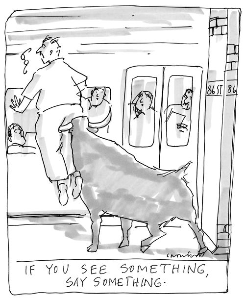 "If You See Something, Say Something"