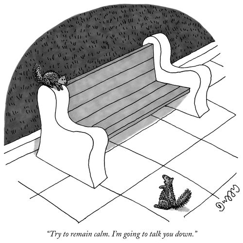 "Try to remain calm. I'm going to talk you down."