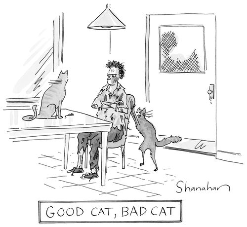 "Good Cat, Bad Cat"