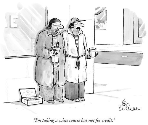 "I'm taking a wine course but not for credit."