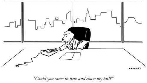 "Could you come in here and chase my tail?"