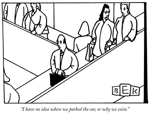 "I have no idea where we parked the car, or why we exist."