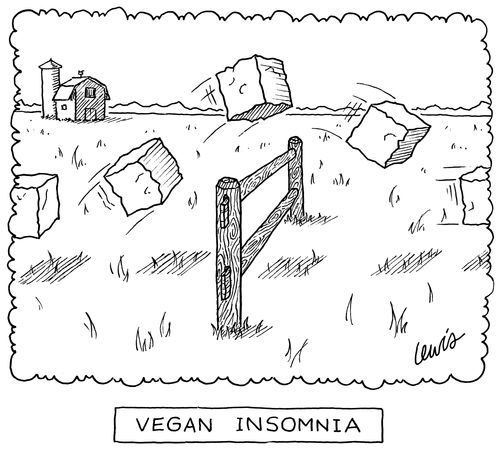 Vegan Insomnia