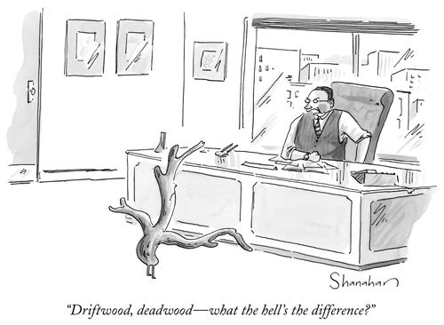 "Driftwood, deadwood—what the hell's the difference?"