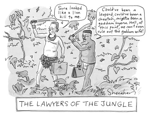The Lawyers of the Jungle