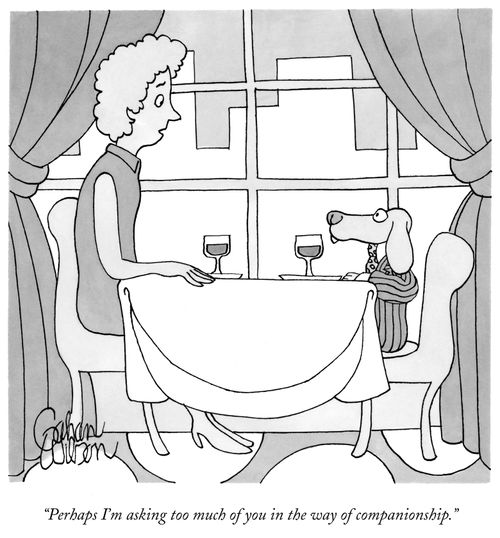 "Perhaps I'm asking too much of you in the way of companionship."
