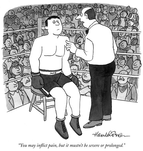 "You may inflict pain, but it mustn't be severe or prolonged."