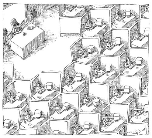 Cubicles, Execs And Employees Growing More Similar To Bees
