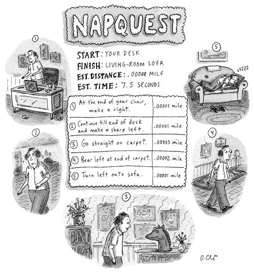 Napquest