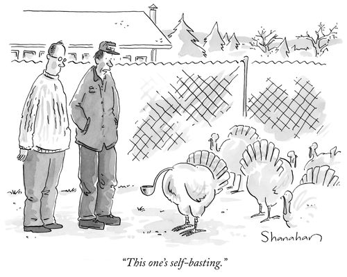 "This one's self-basting."