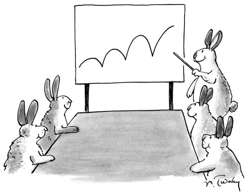 Rabbit Meeting Shows Hopping Profits