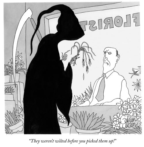 "They weren't wilted before you picked them up!"