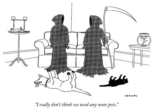 "I really don't think we need any more pets."