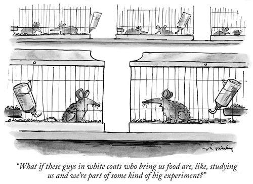 "What if these guys in white coats who bring us food are, like, studying us and we're part of some kind of big experiment?"