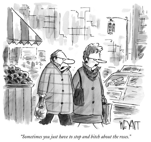 "Sometimes you just have to stop and b***h about the roses."