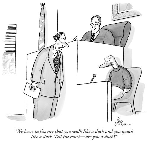 "We have testimony that you walk like a duck and you quack like a duck. Tell the court - are you a duck?"